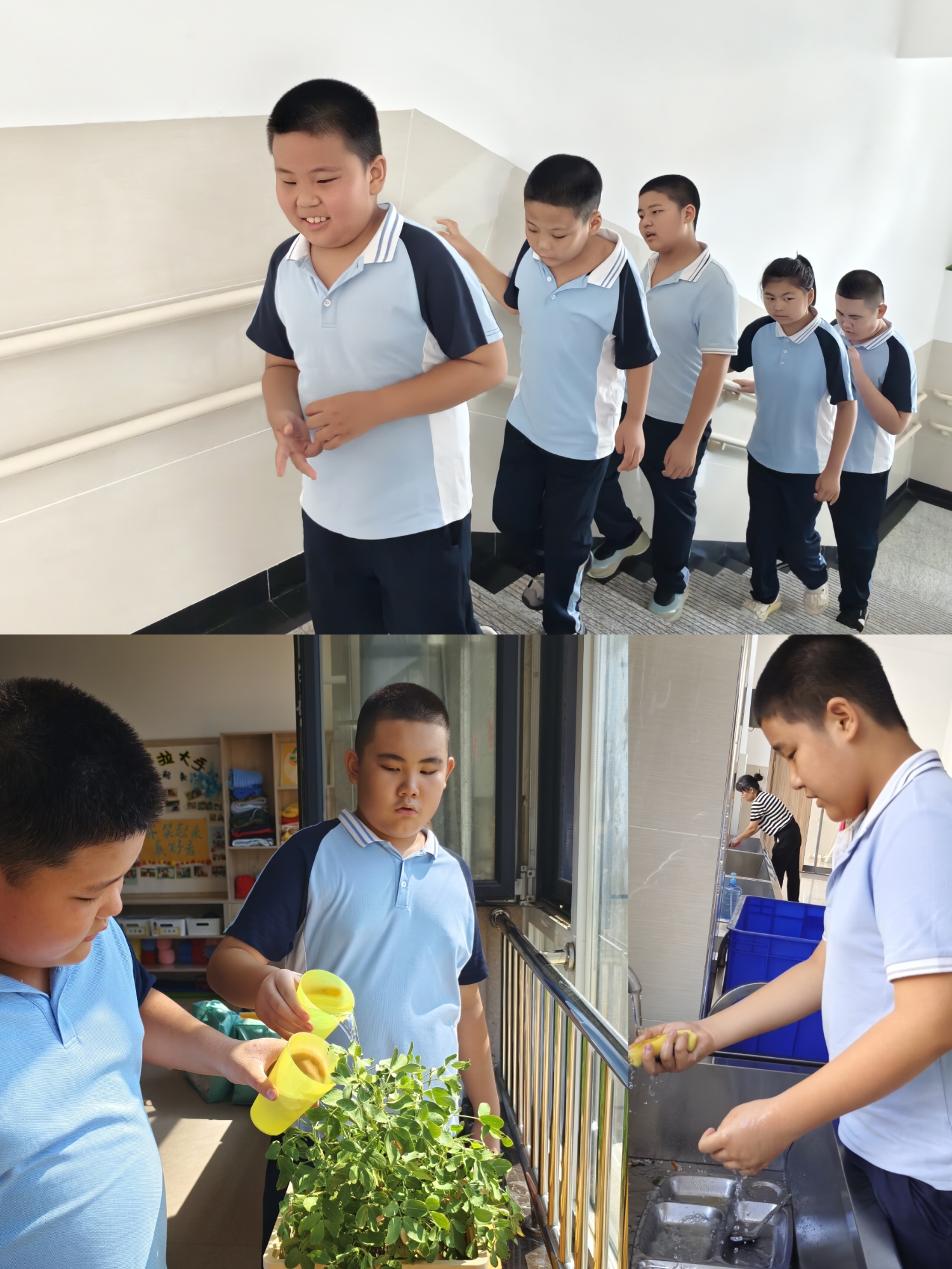 IMG_20250908_161244.jpg IMG_20250908_161244.jpg