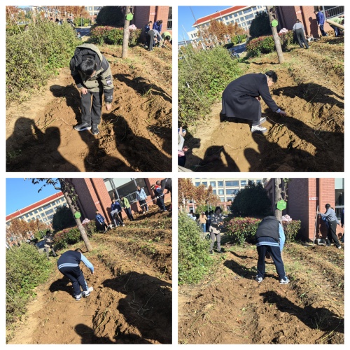 IMG_20251103_091442.jpg IMG_20251103_091442.jpg