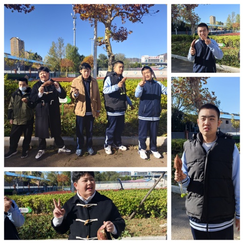 IMG_20251103_091503.jpg IMG_20251103_091503.jpg