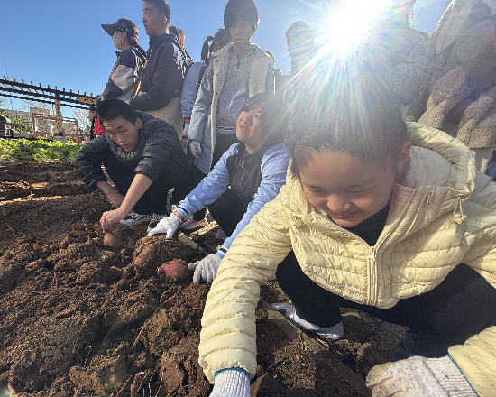 圖片2.png 圖片2.png