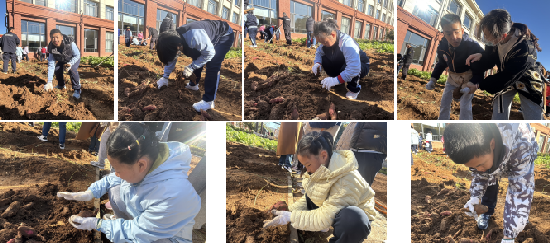 圖片1.png 圖片1.png